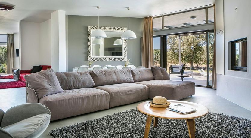 Photo of The Grape of Zeus