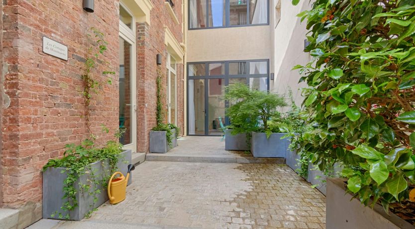 Photo of Montmartre Blush