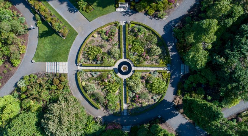 Photo of The Amaranthine