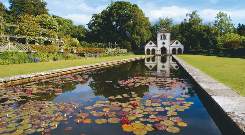 Photo of The Amaranthine