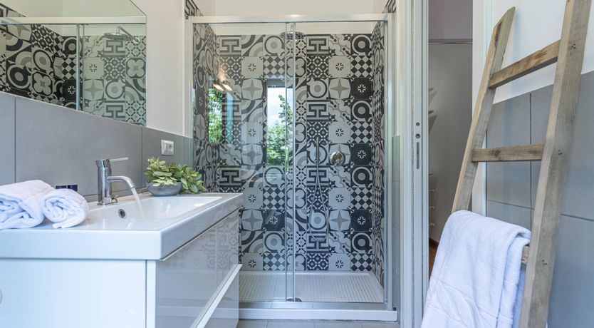 Photo of The Roman Violet