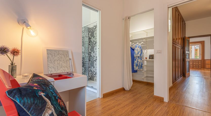 Photo of The Roman Violet