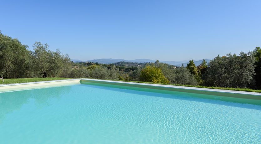 Photo of The Grapes of May