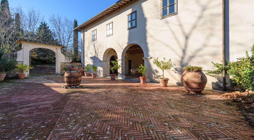 Photo of The Grapes of May