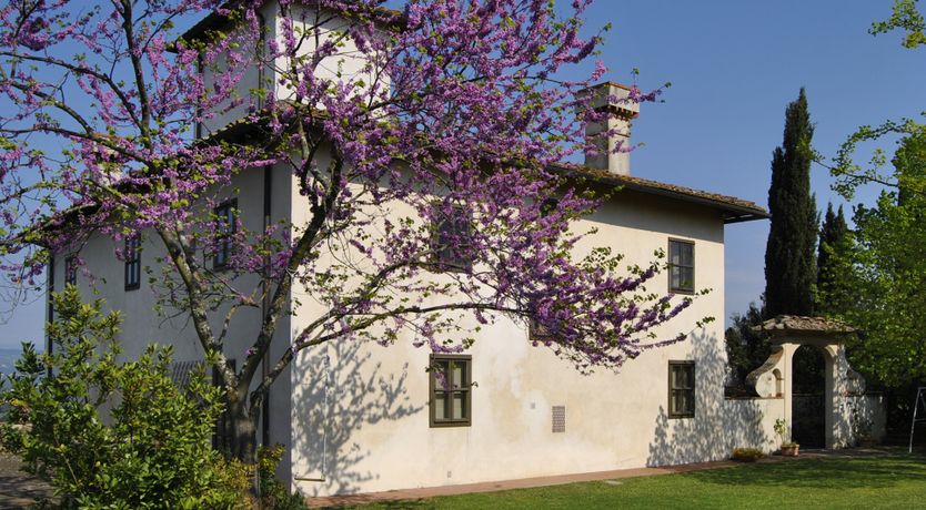 Photo of The Grapes of May