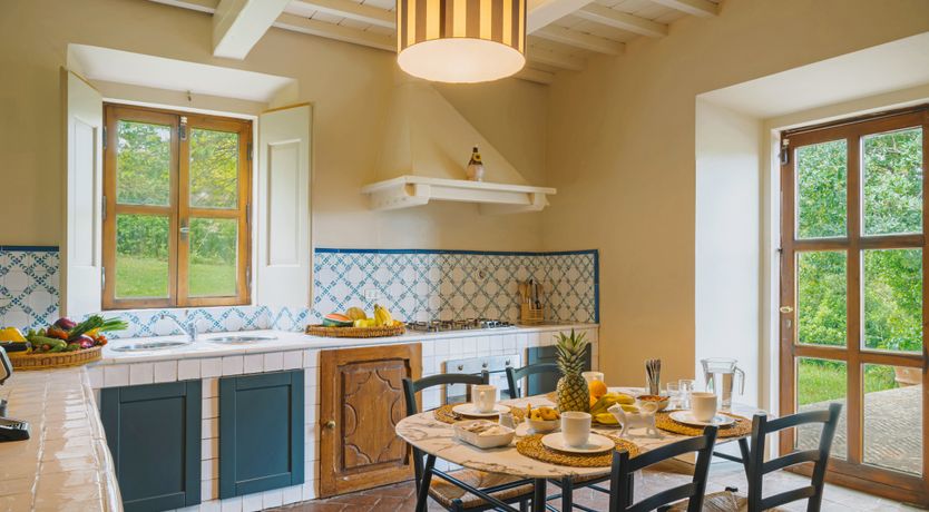 Photo of The Grapes of May