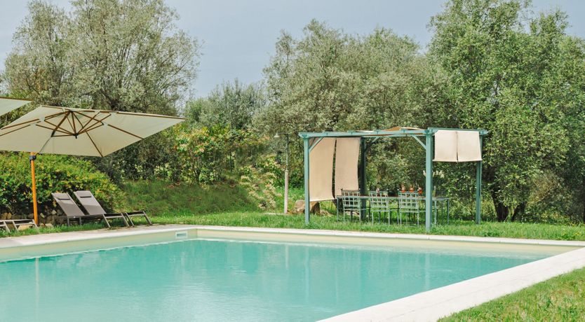 Photo of The Grapes of May