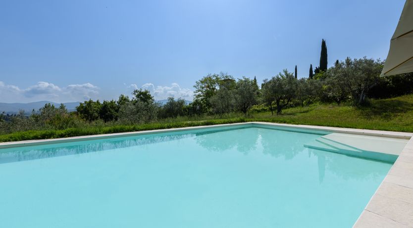 Photo of The Grapes of May