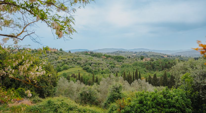 Photo of The Grapes of May