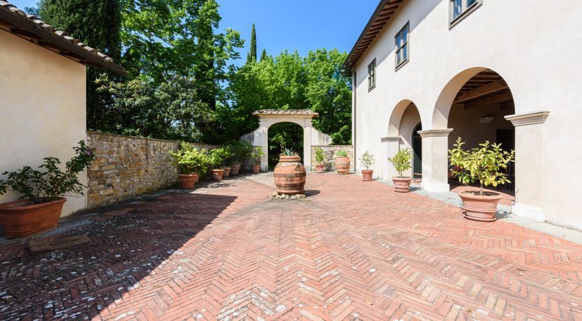 Photo of The Grapes of May