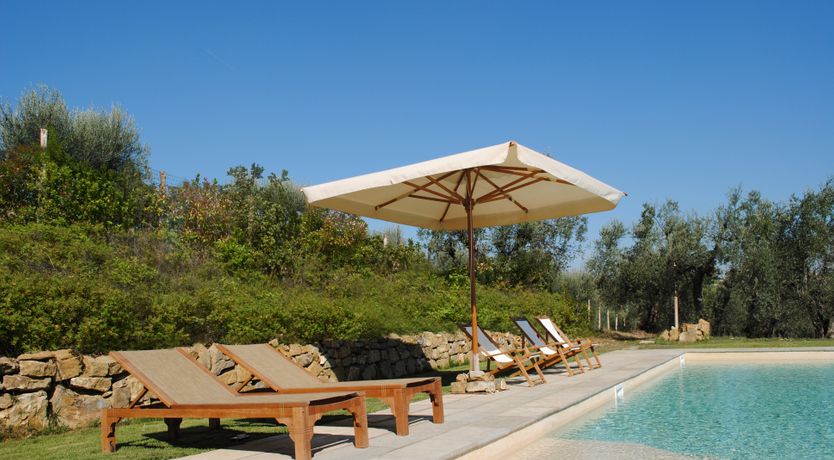 Photo of The Grapes of May