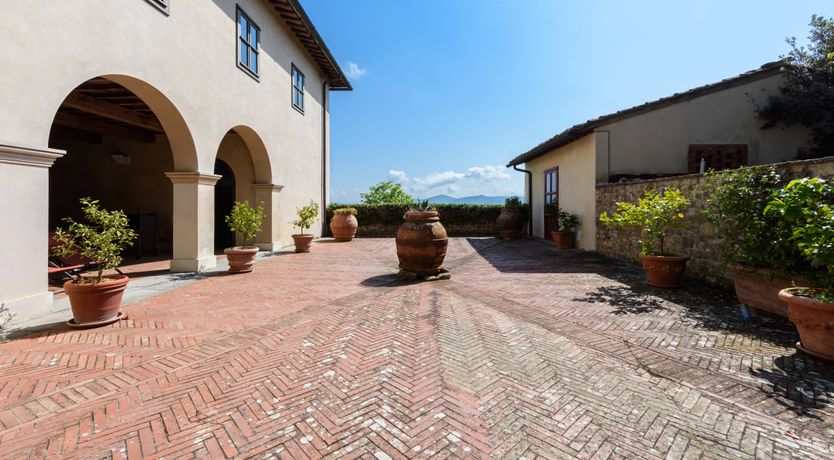 Photo of The Grapes of May