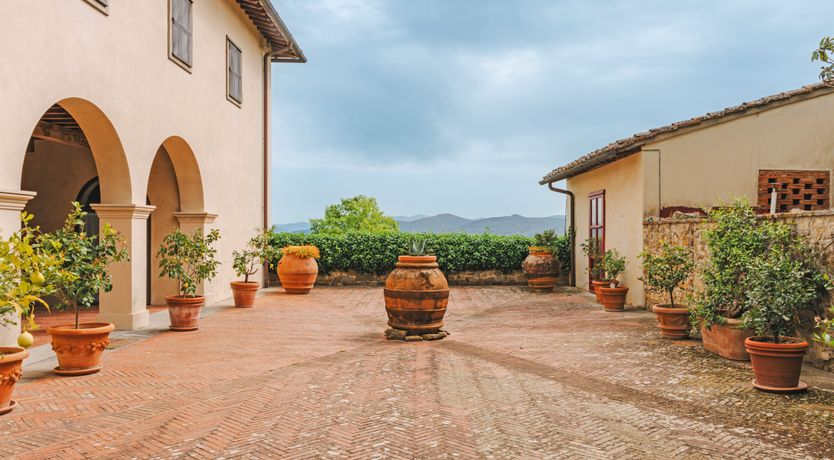 Photo of The Grapes of May