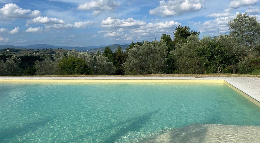 Photo of The Grapes of May