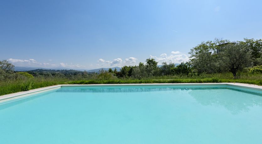 Photo of The Grapes of May