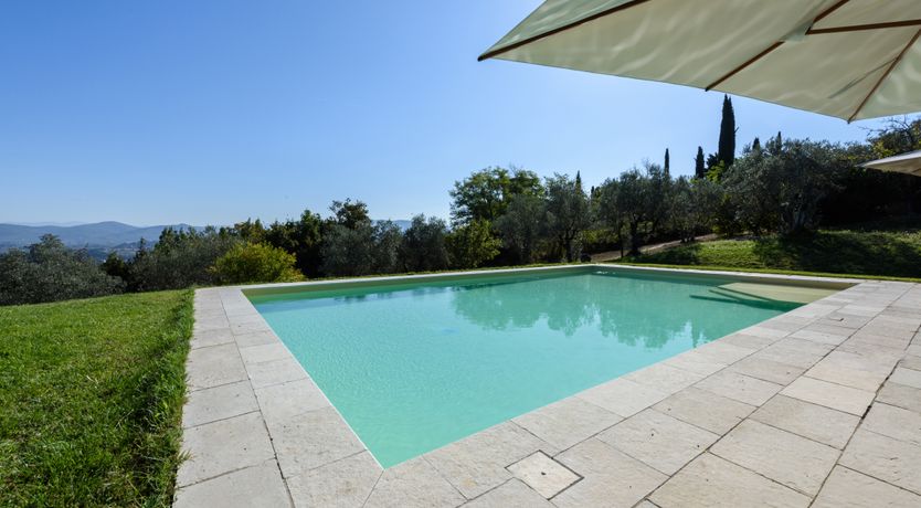 Photo of The Grapes of May