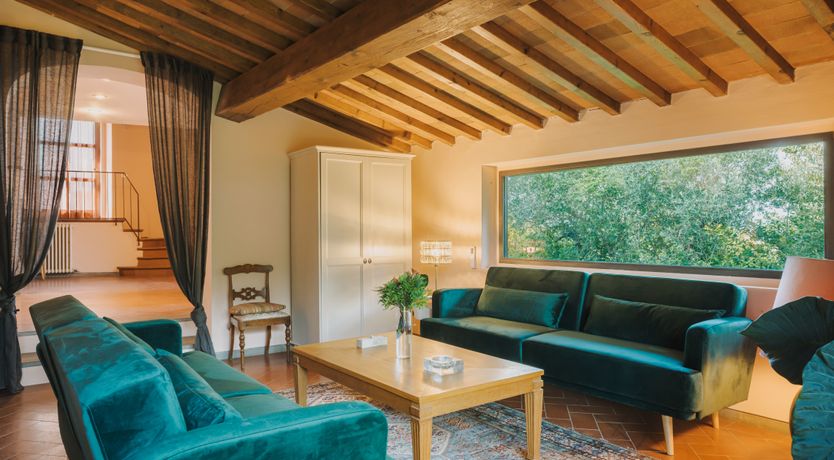 Photo of The Grapes of May