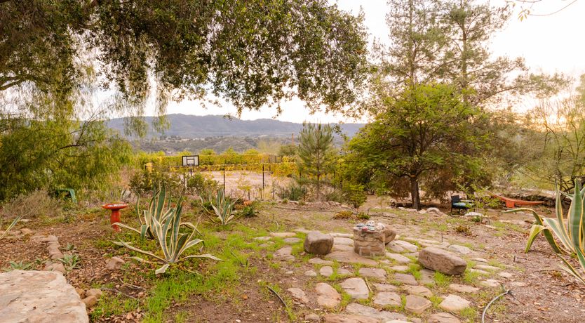 Photo of Moonlight Kingdom