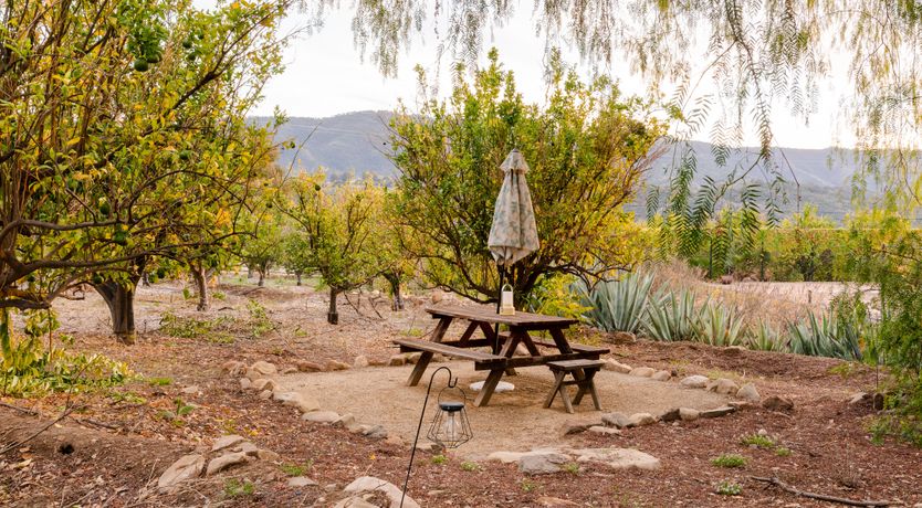 Photo of Moonlight Kingdom