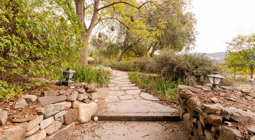 Photo of Moonlight Kingdom