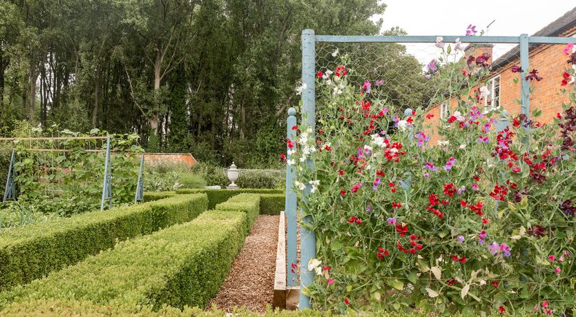 Photo of The Garden of Tranquility