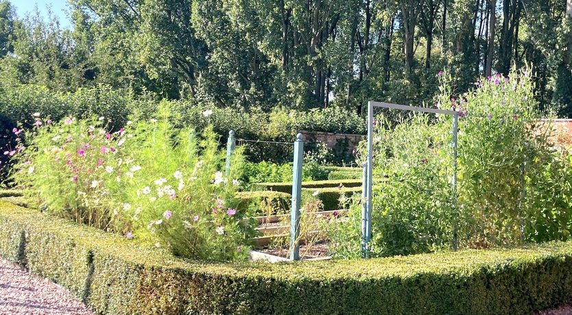 Photo of The Garden of Tranquility