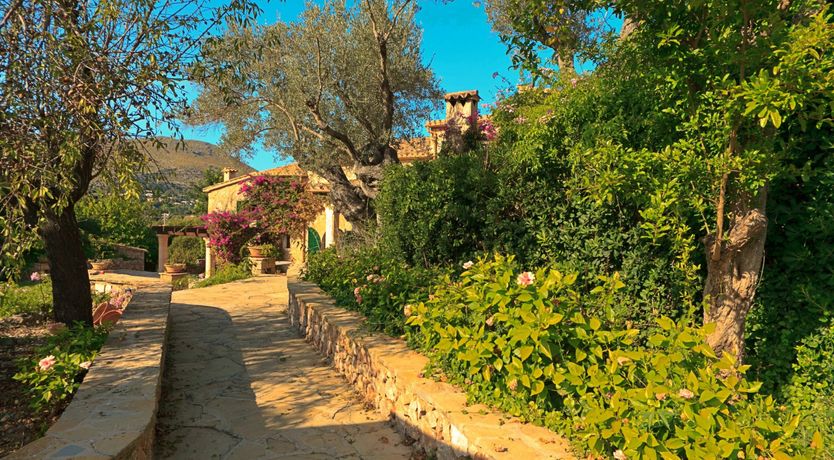 Photo of Willow & Stone