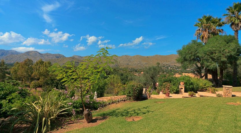 Photo of Willow & Stone