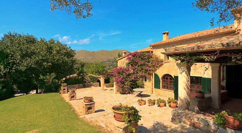 Photo of Willow & Stone