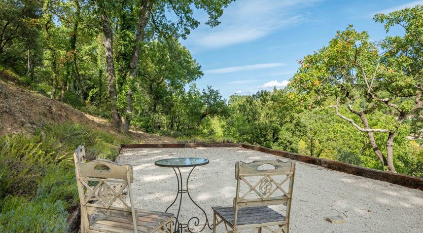 Photo of The Scent of Flowers