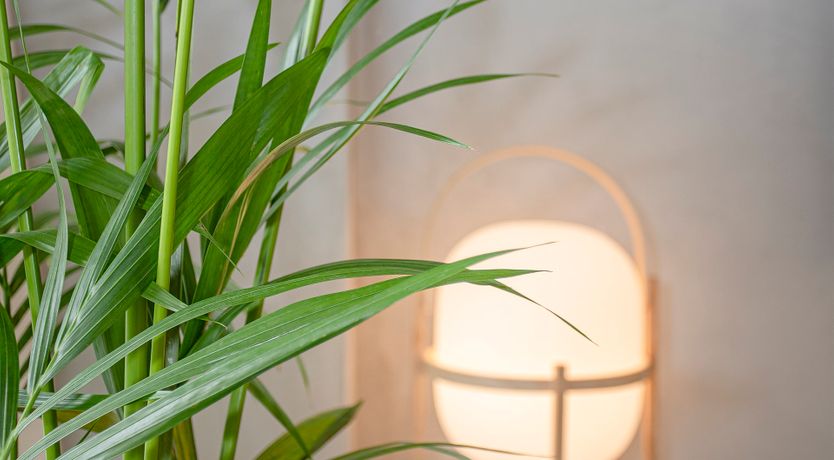 Photo of Bolhão Industrial