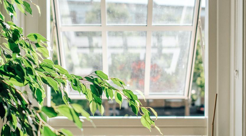 Photo of Pastoral Charm