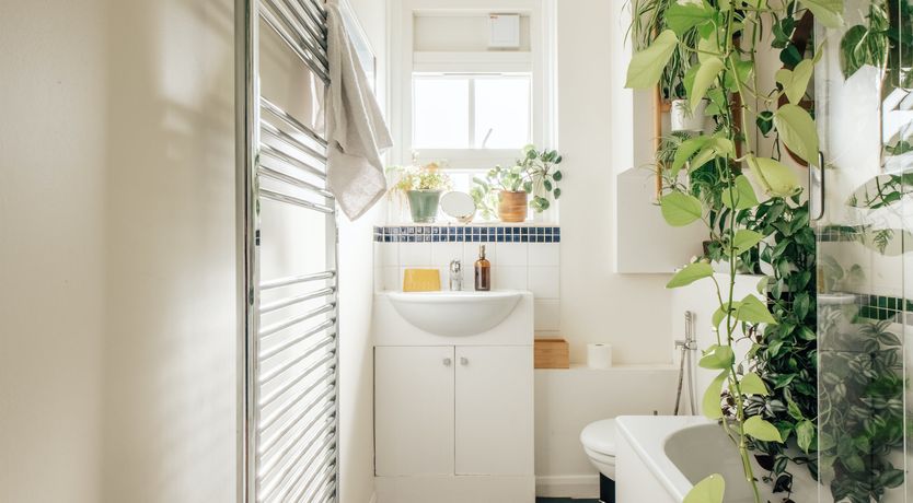 Photo of Pastoral Charm