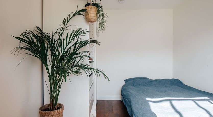 Photo of Pastoral Charm