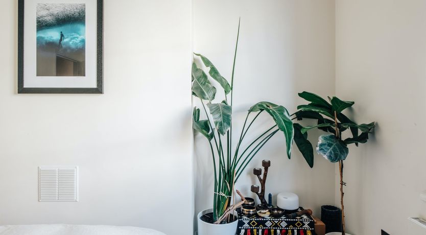 Photo of Pastoral Charm