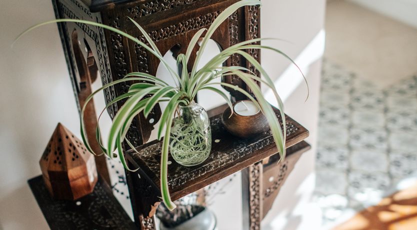 Photo of Pastoral Charm