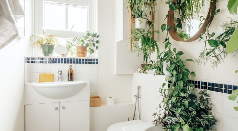 Photo of Pastoral Charm