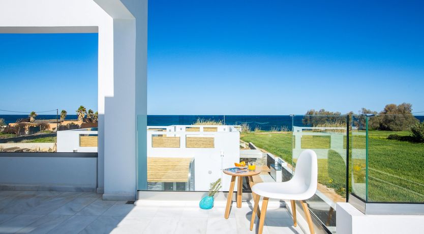 Photo of Two Dolphins