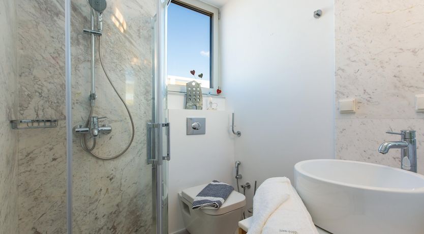 Photo of Two Dolphins