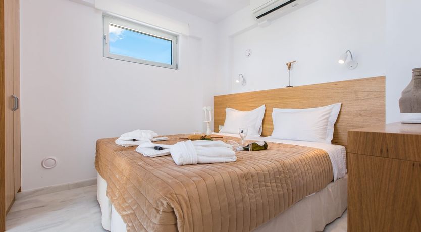 Photo of Two Dolphins