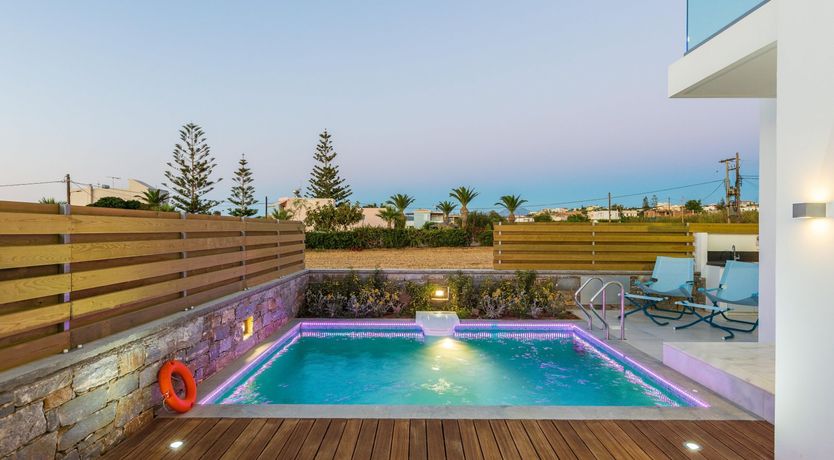 Photo of Two Dolphins