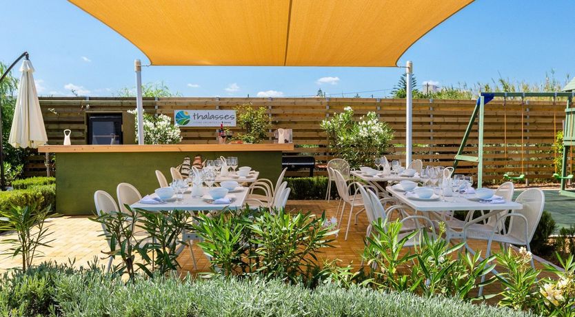 Photo of Two Dolphins