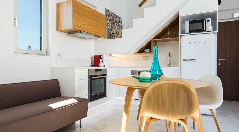 Photo of Two Dolphins