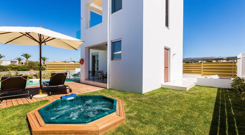 Photo of Two Dolphins