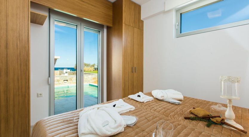 Photo of Two Dolphins