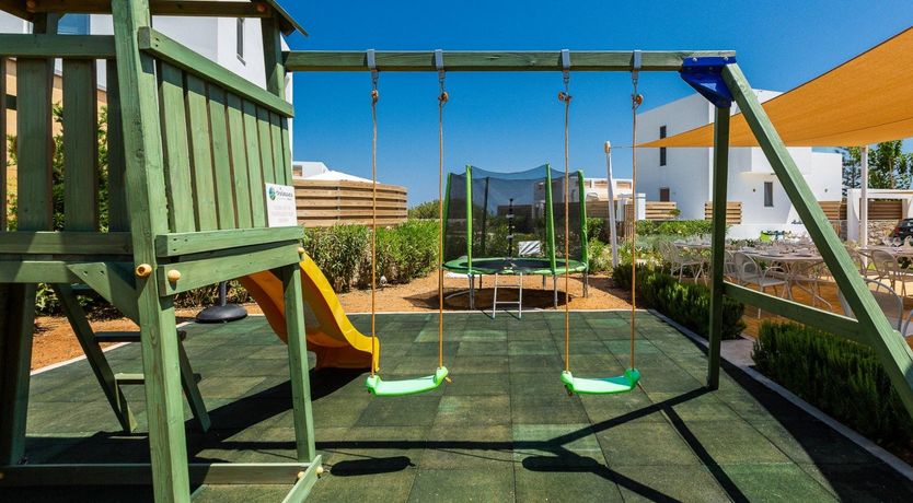 Photo of Two Dolphins