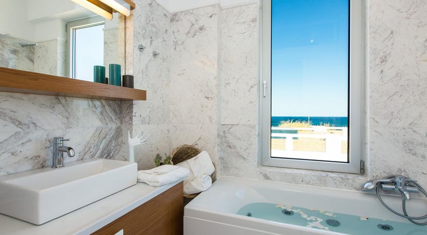 Photo of Two Dolphins