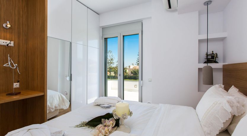 Photo of Two Dolphins