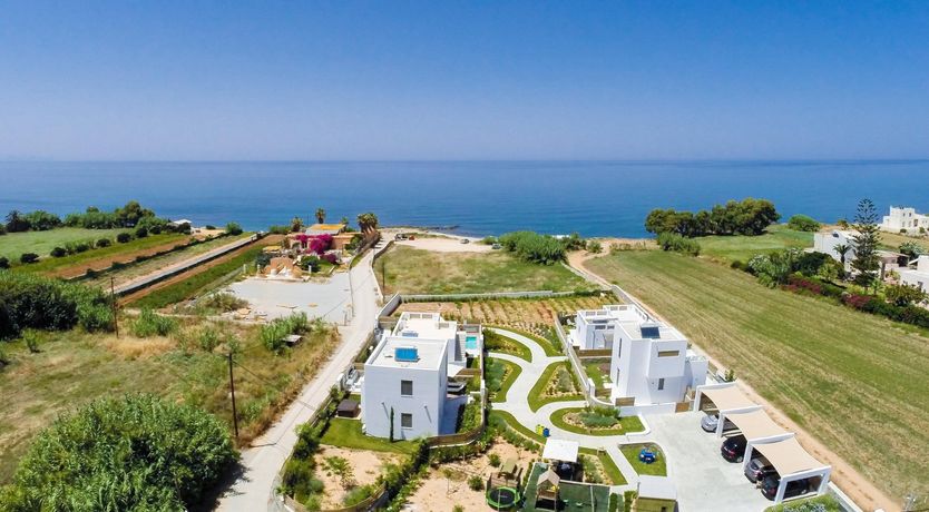 Photo of Two Dolphins