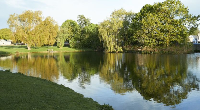 Photo of Gower Cottage